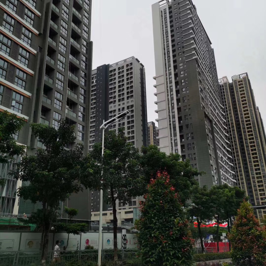 龍華村委統建樓新樓盤