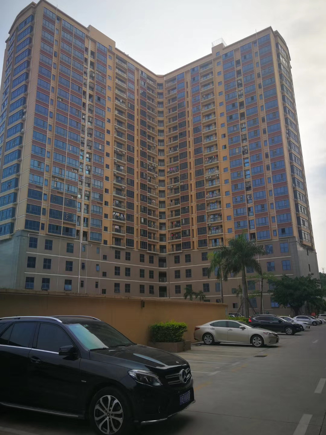 光明村委統(tǒng)建樓