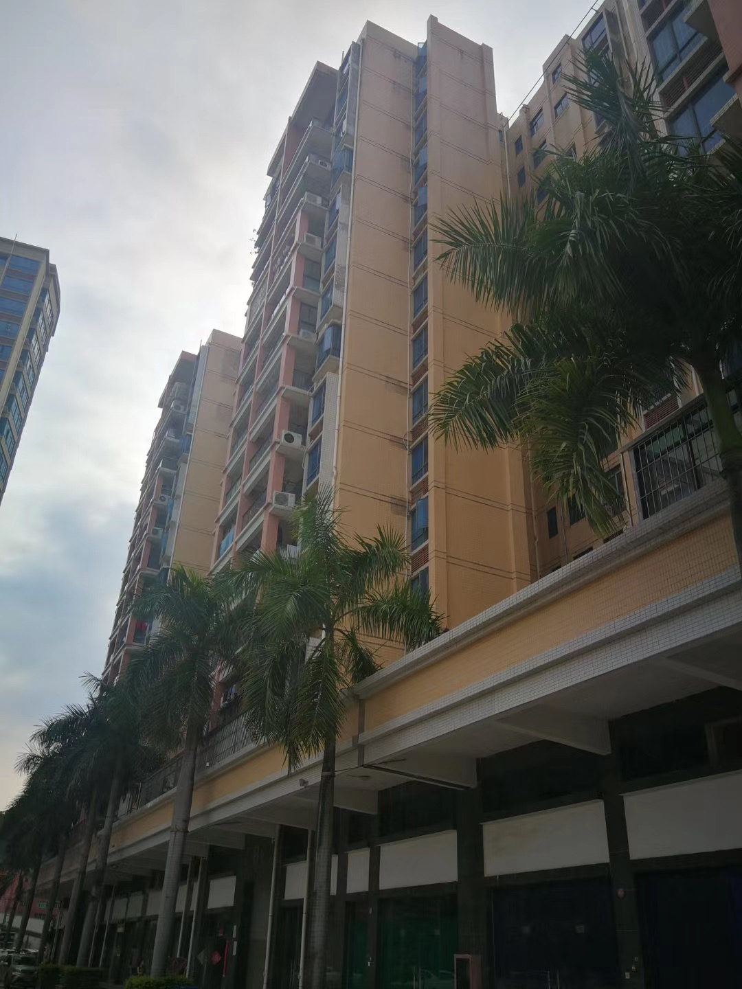 光明村委統(tǒng)建樓