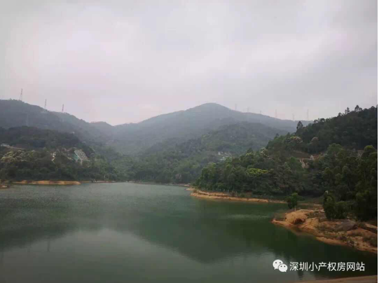 山水綠園一房一廳56平方，56.8萬/套起