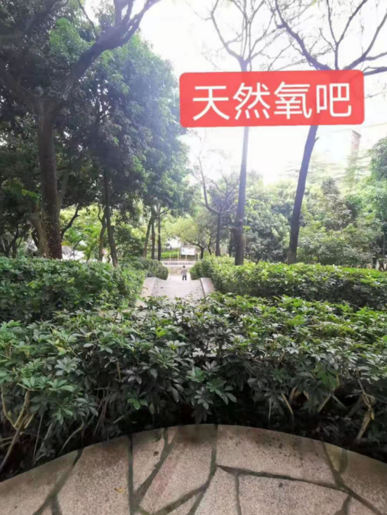 金光華府名校零距離，盡享綠色生態