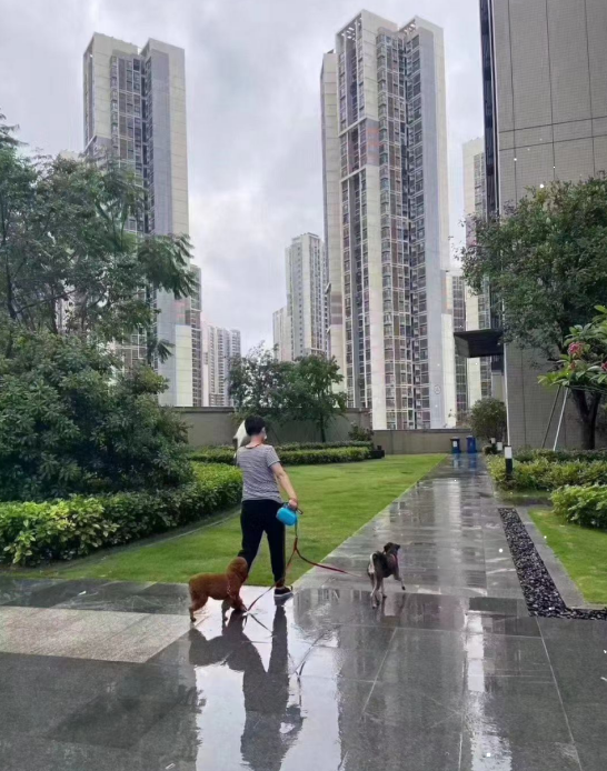 觀瀾新城締造世界級國際產(chǎn)業(yè)均價26500元/平