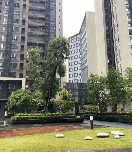 觀瀾新城締造世界級國際產(chǎn)業(yè)均價26500元/平