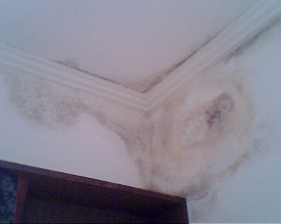 譽(yù)城苑是珠江新城少有的以苑命名的小區(qū)