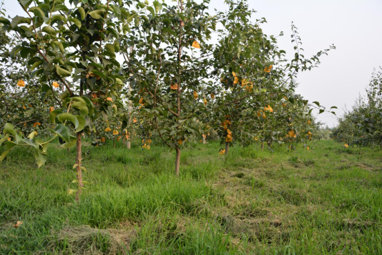 回遷房的建筑面積超過(guò)原建筑面積