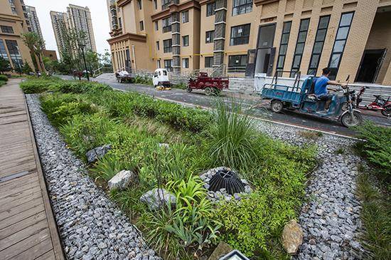 本項目作為建設(shè)海綿城市試點小區(qū)建設(shè)